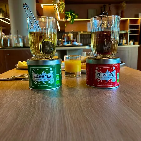 Novotel Ferrand Polydome Отель