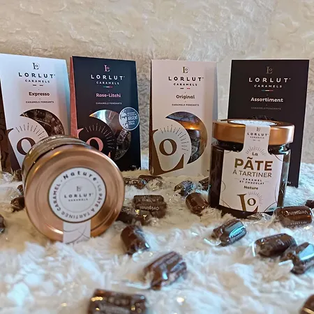 Novotel Ferrand Polydome 4* Clermont-Ferrand